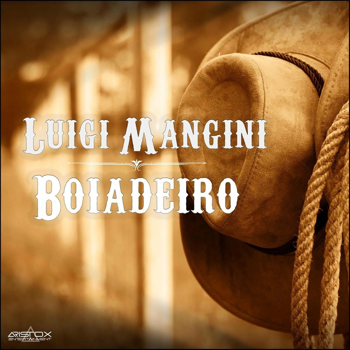 Album cover of Boiadeiro