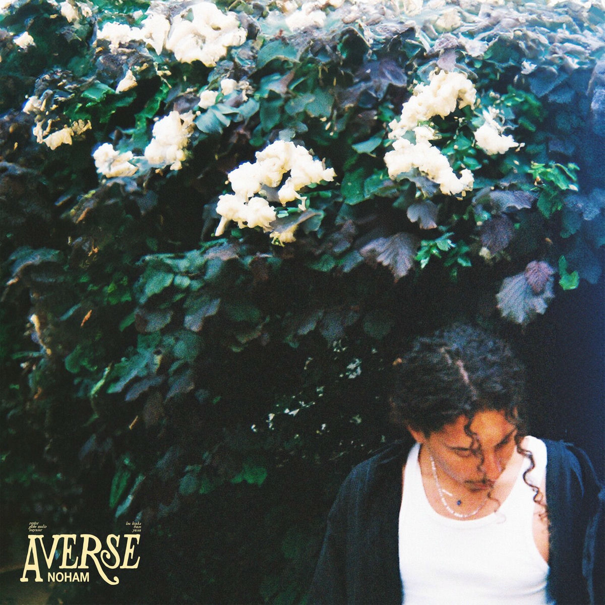 Album cover of AVERSE