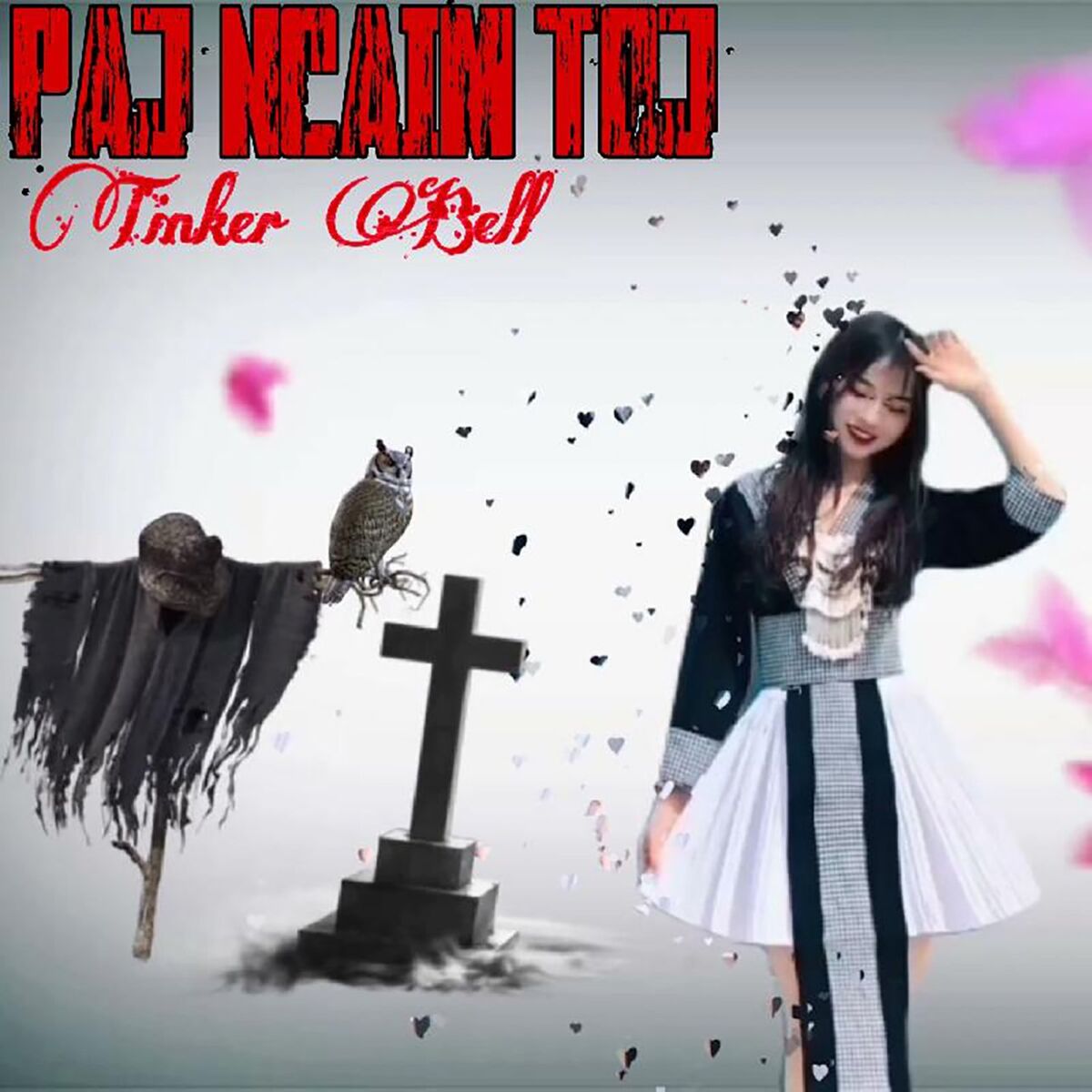 Album cover of Paj ncaim toj (Mixer version)
