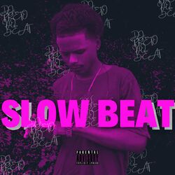 Cover of Slow Beat
