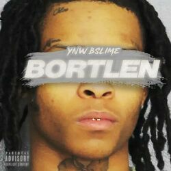 Cover of Bortlen