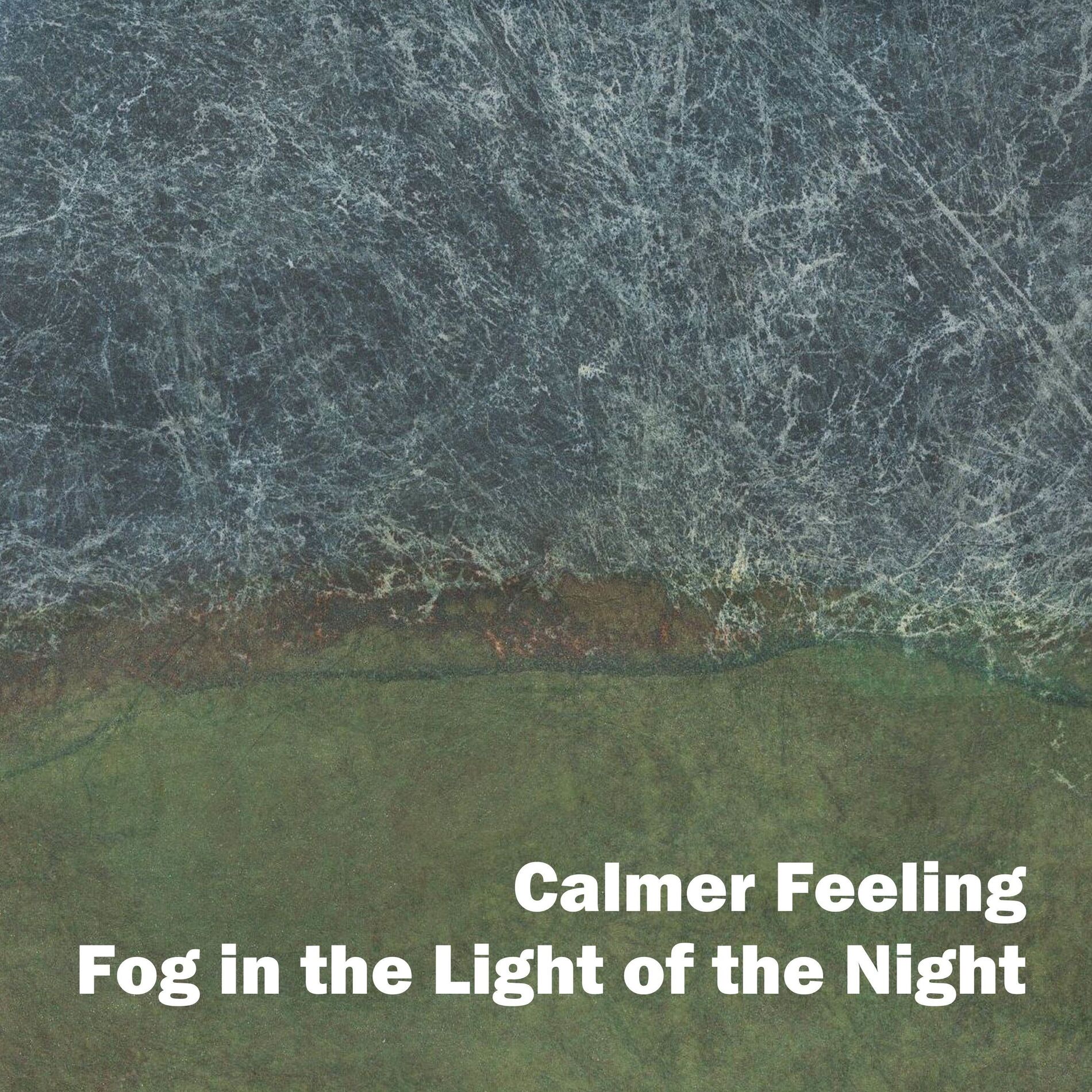 Album cover of Fog in the Light of the Night