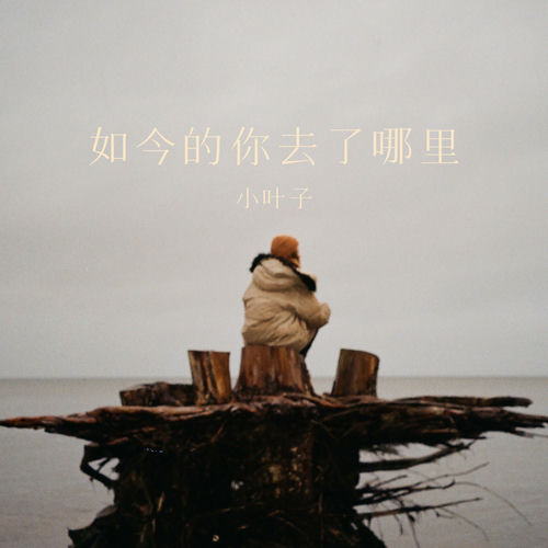 如今的你去了哪里