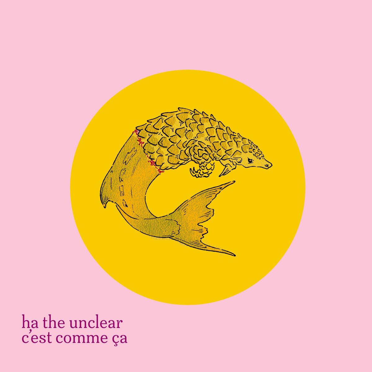Album cover of C'est Comme Ça
