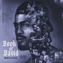Cover of Book of David (Deluxe)