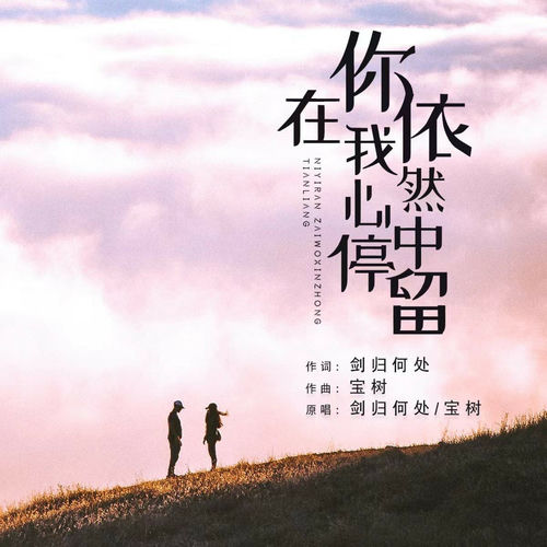 你依然在我心中停留 (对唱版)