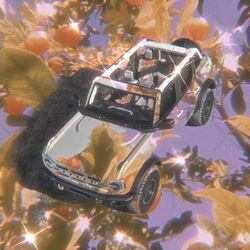 Cover of SUV
