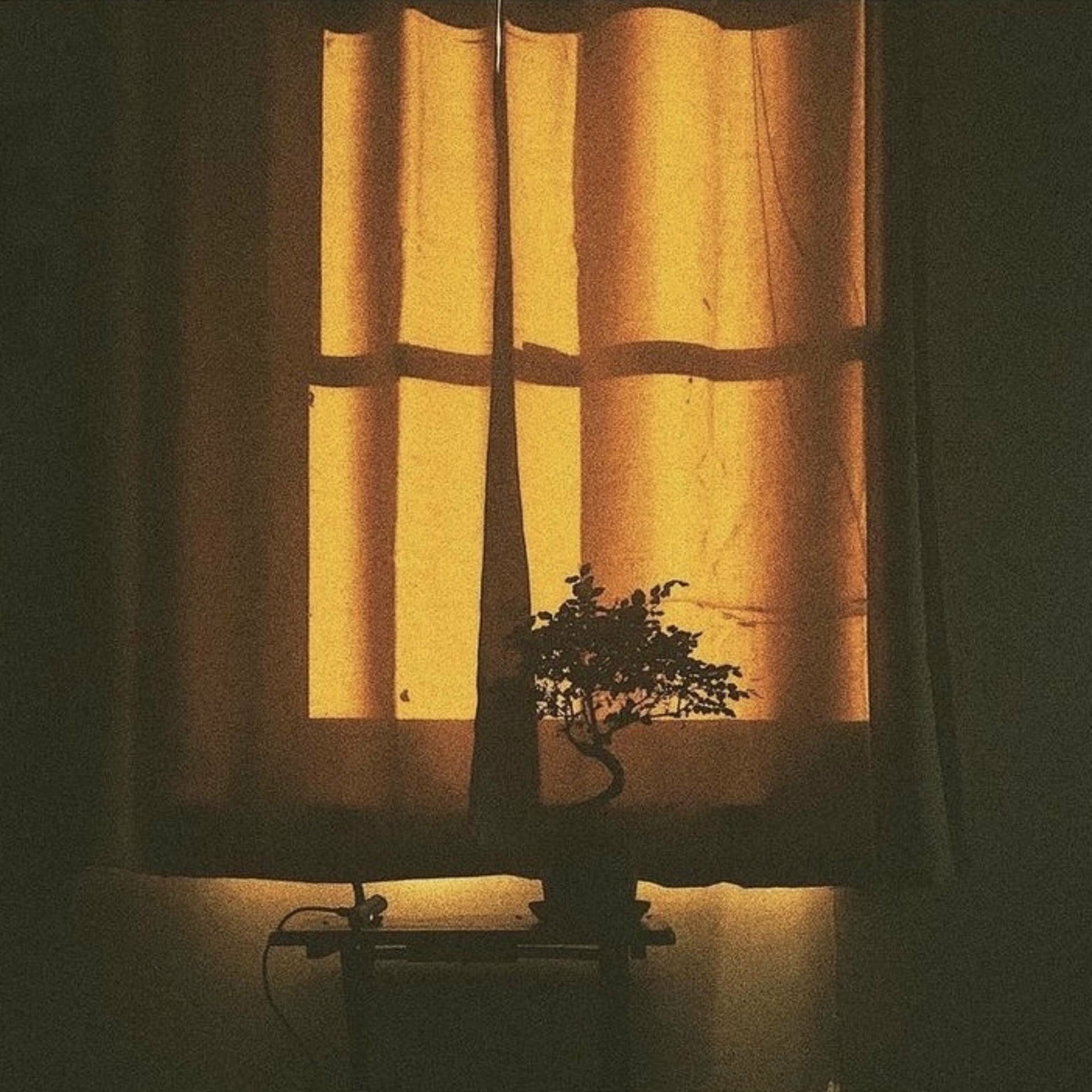 Album cover of All Things New