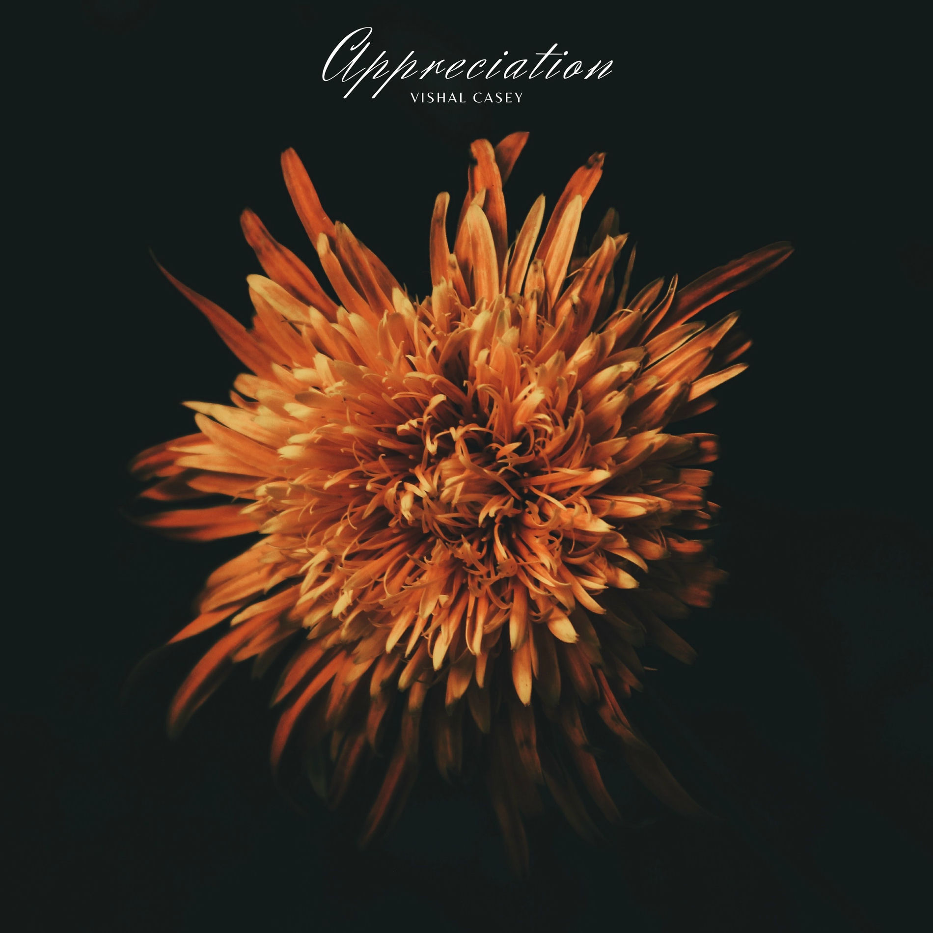 Album cover of Appreciation
