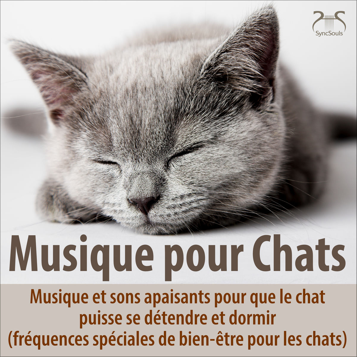 Album cover of Musique pour chats - Musique et sons apaisants pour que le chat puisse se détendre et dormir (fréquences spéciales de bien-être po