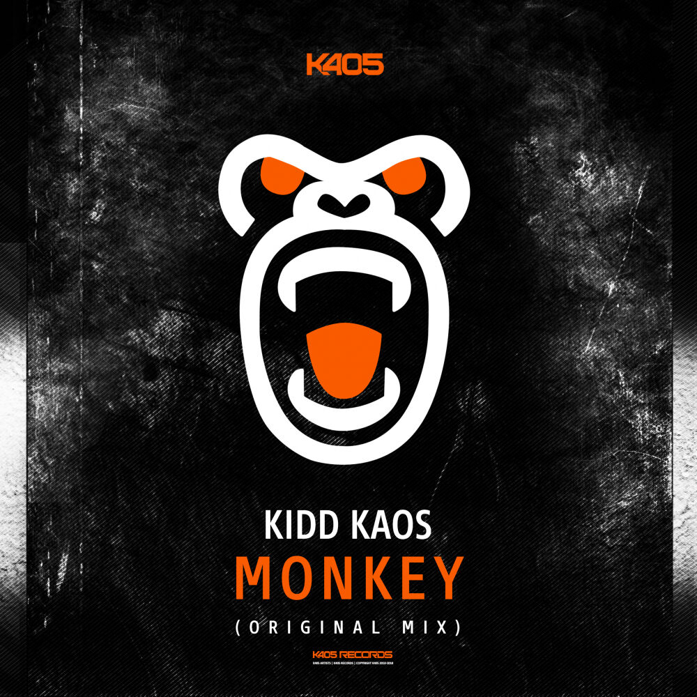 Picture of Monkey