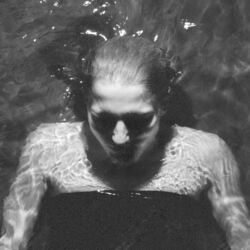 Cover of Lism