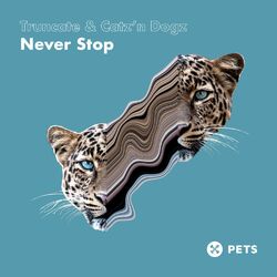 Cover of Never Stop EP