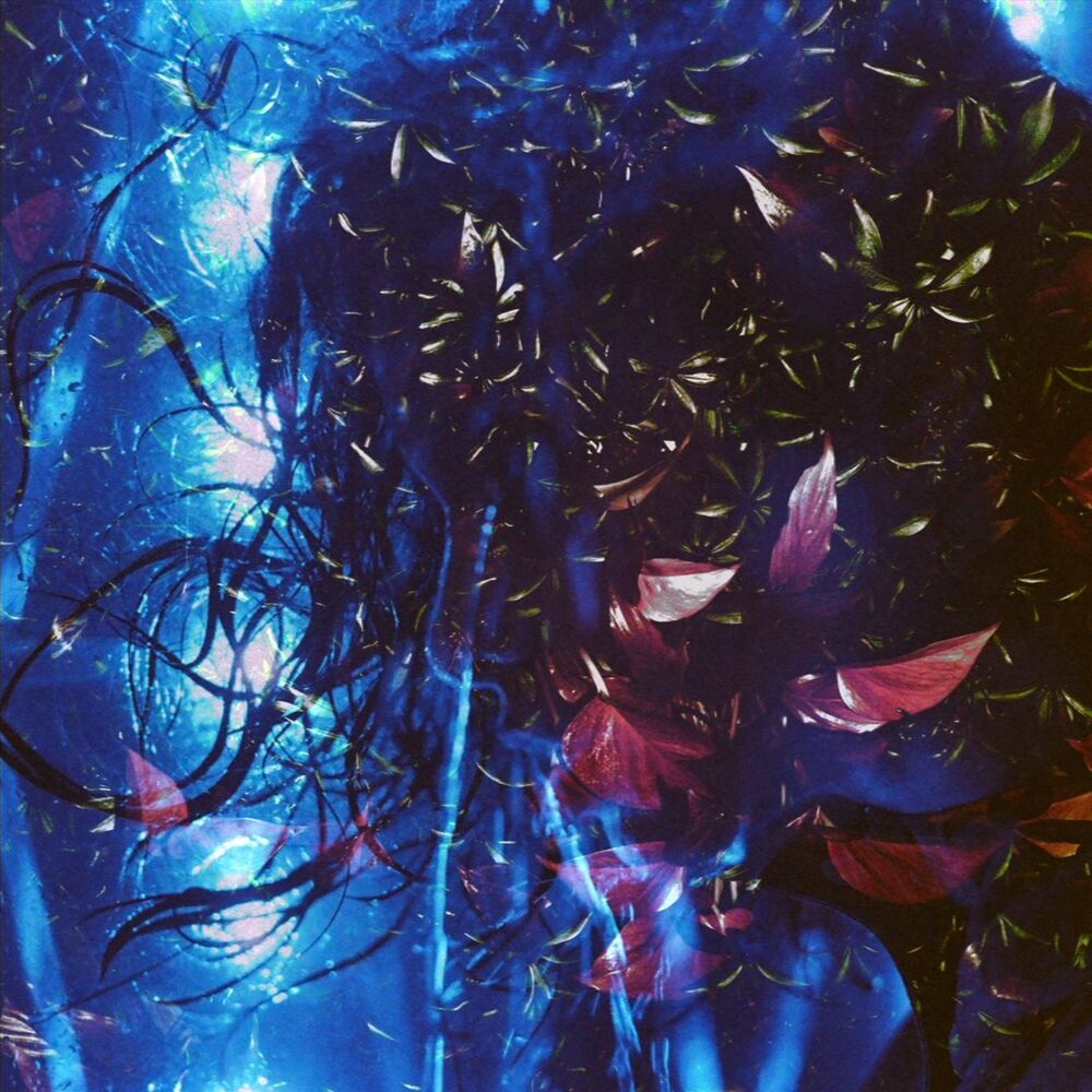 Picture of Back It Up (feat. Tadafi)