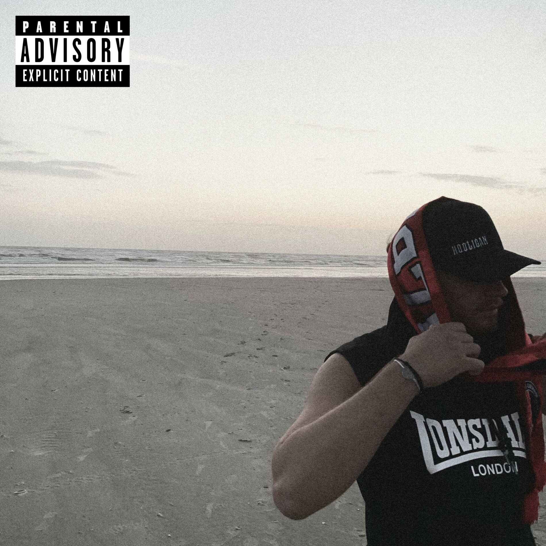 Album cover of HOOLIGAN