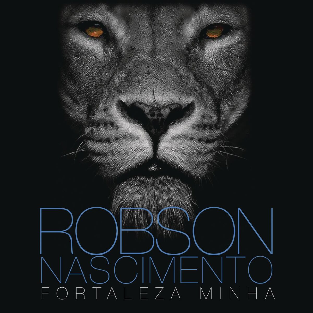 Album cover of Fortaleza Minha