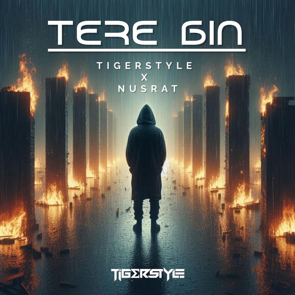 Picture of Tere Bin (feat. Nusrat) [(Original Mix)]