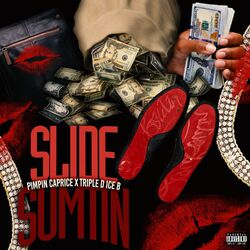 Cover of Slide Sumtin