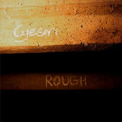 Cover of Rough