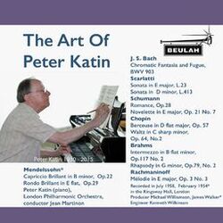 Cover of The Art of Peter Katin