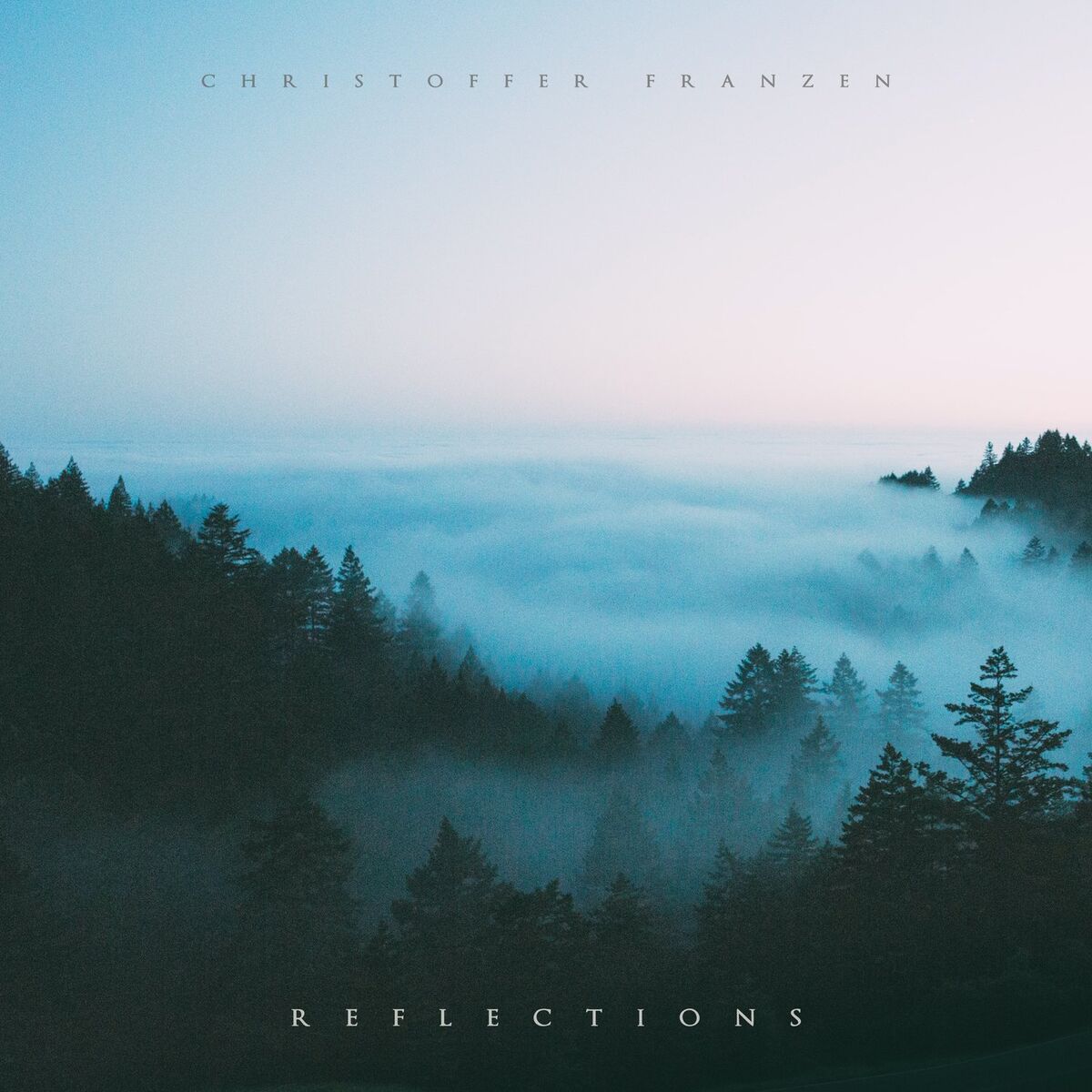 Album cover of Reflections
