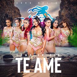 Cover of Cómo un Día Te Ame
