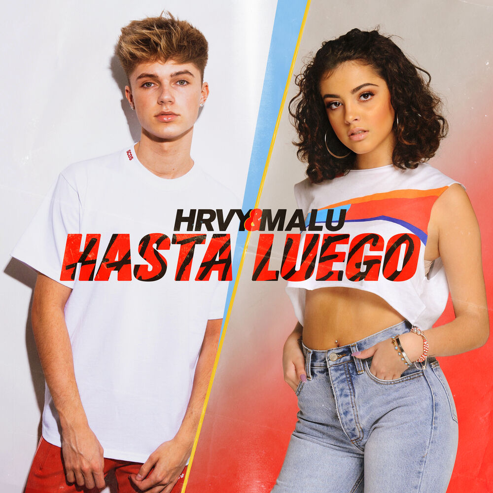 Picture of Hasta Luego