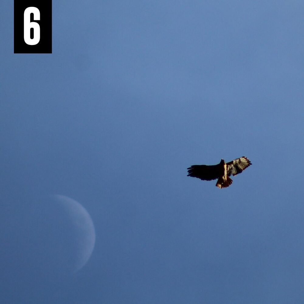 Picture of 6