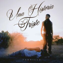 Cover of Una Historia Triste