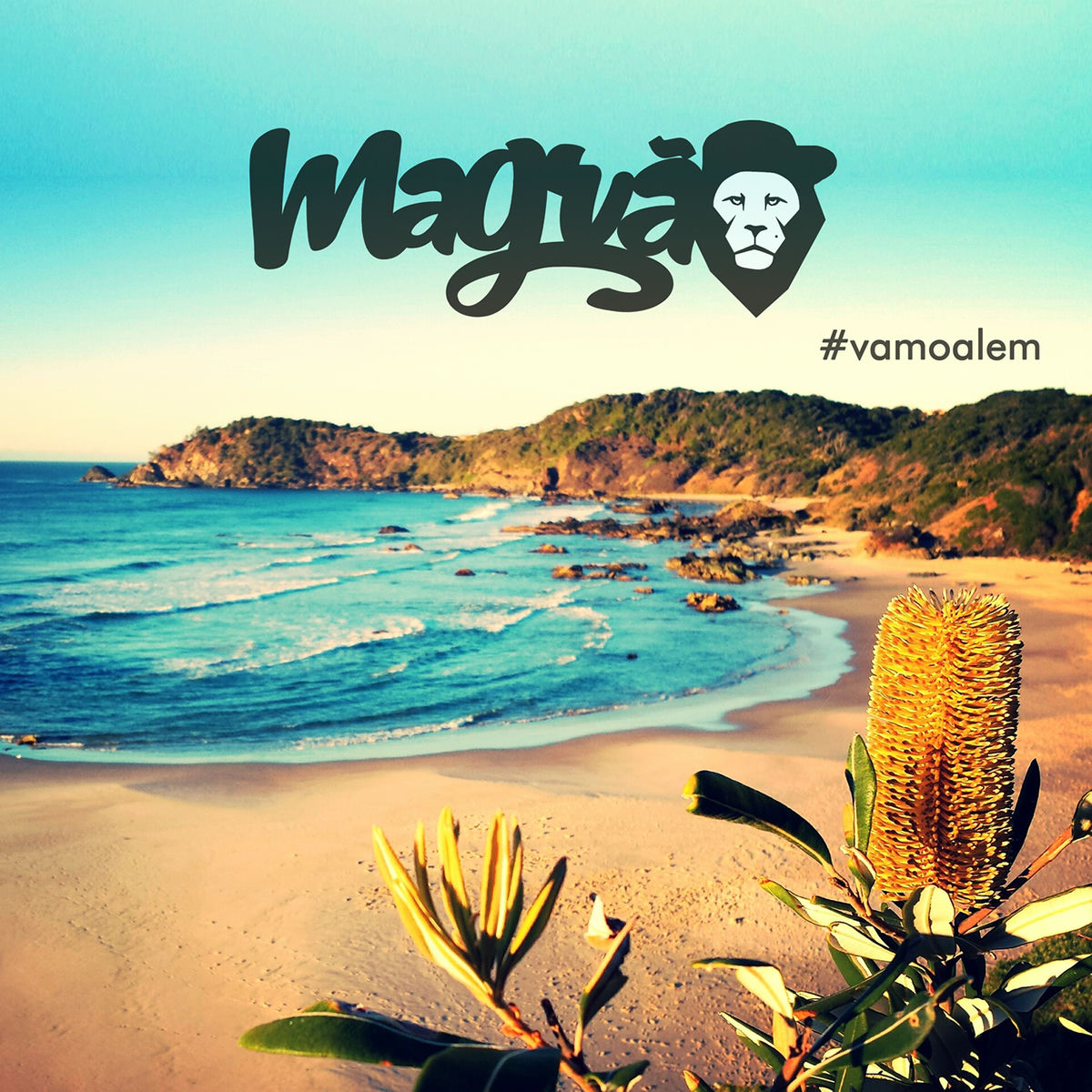 Album cover of #vamoalem
