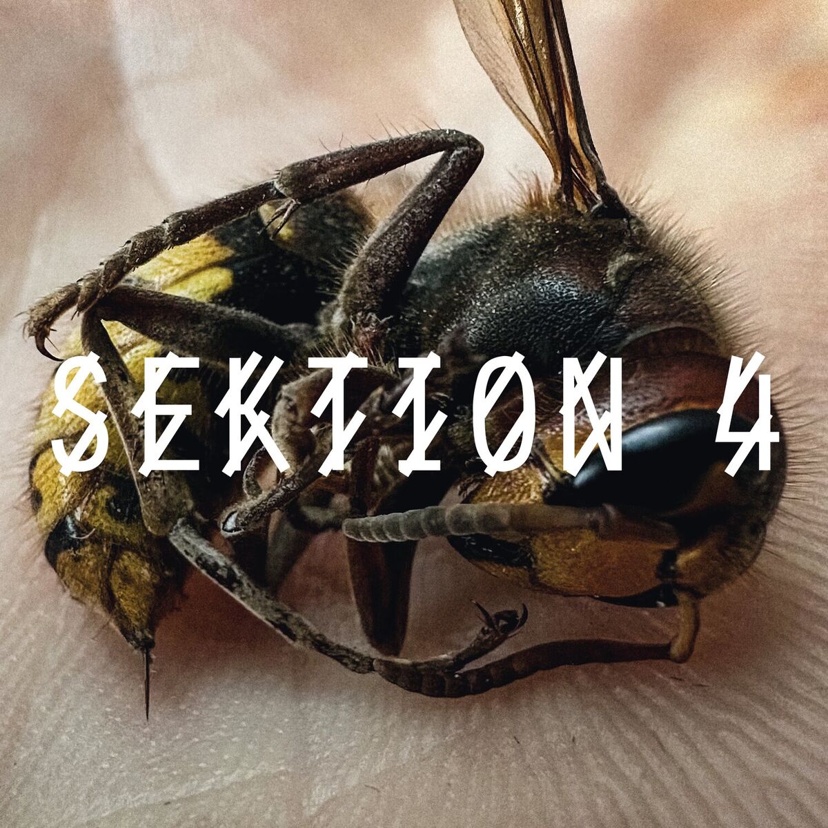 Album cover of Faded Generation