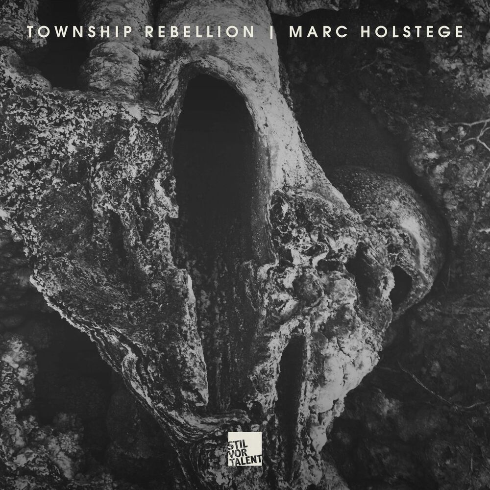 Picture of Township Rebellion, Marc Holstege