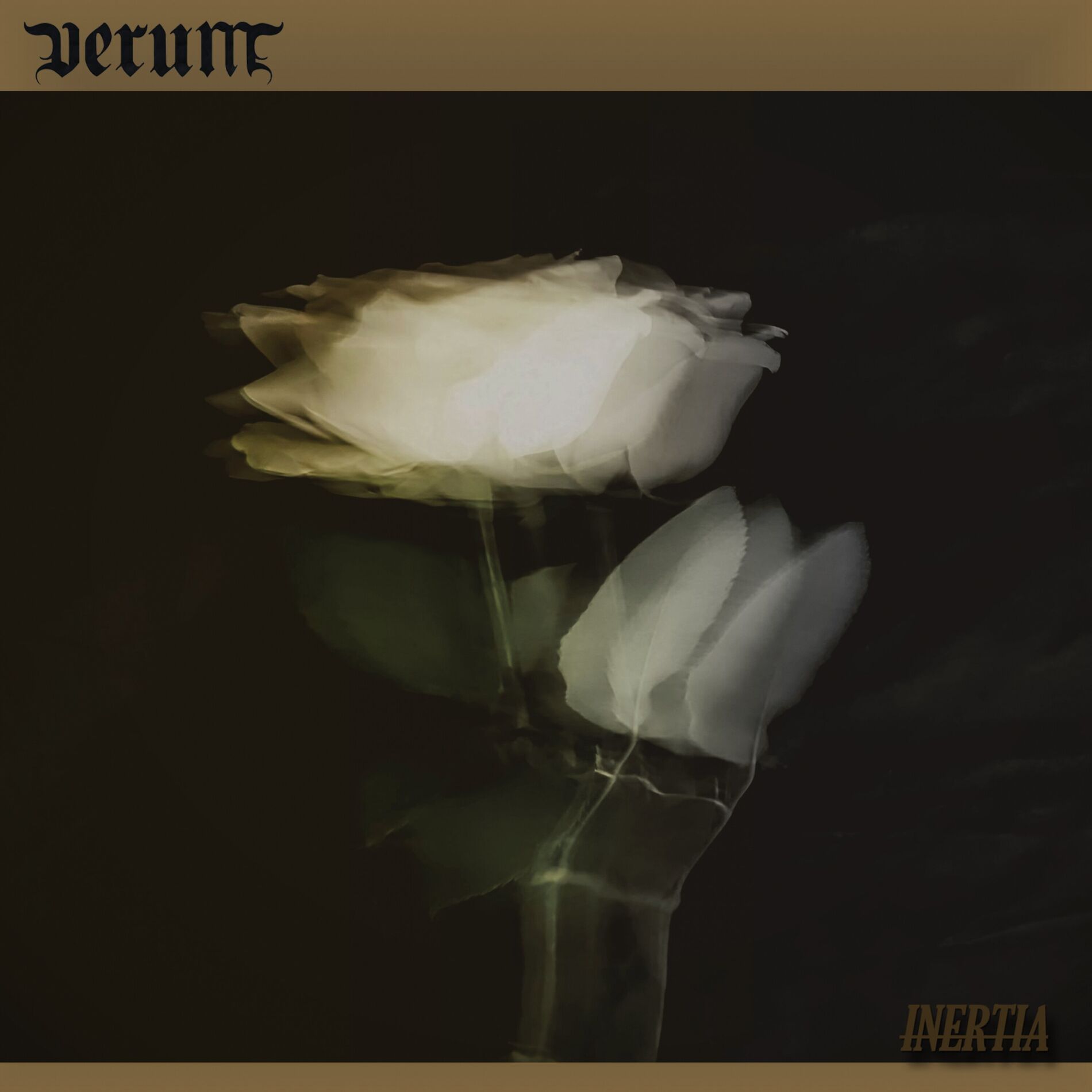 Album cover of INERTIA