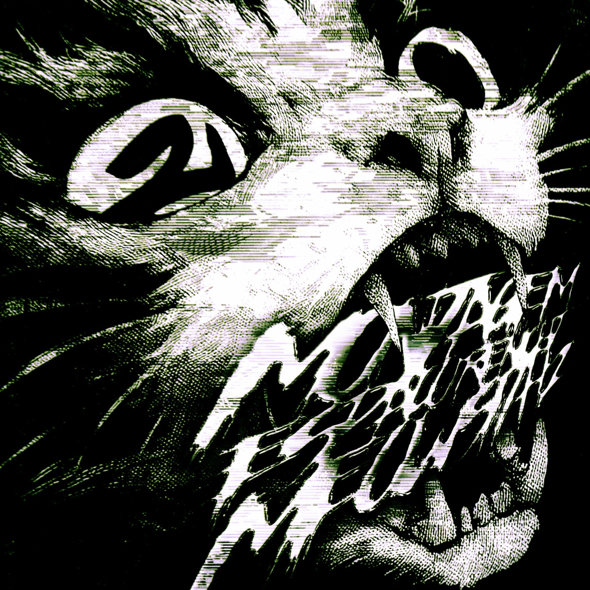 Album cover of Montagem Espaco Renicht 2 Meowsith