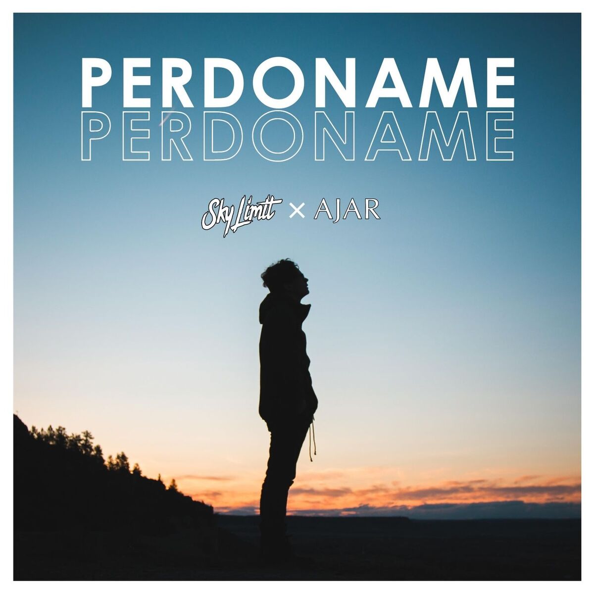 Album cover of Perdóname