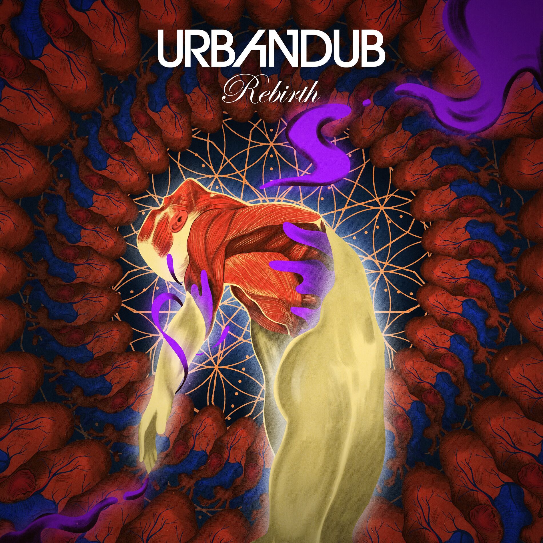 Urbandub - Rebirth | Deezer
