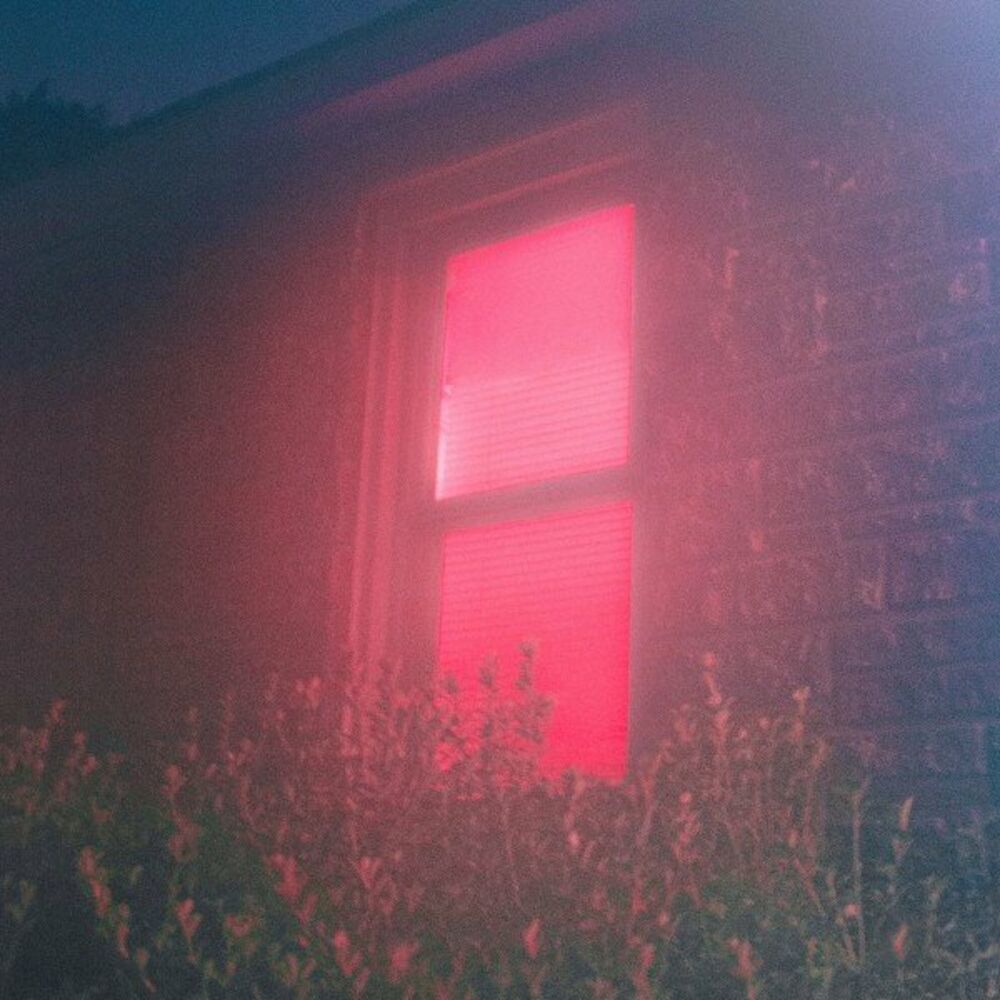 Picture of Velvet Light