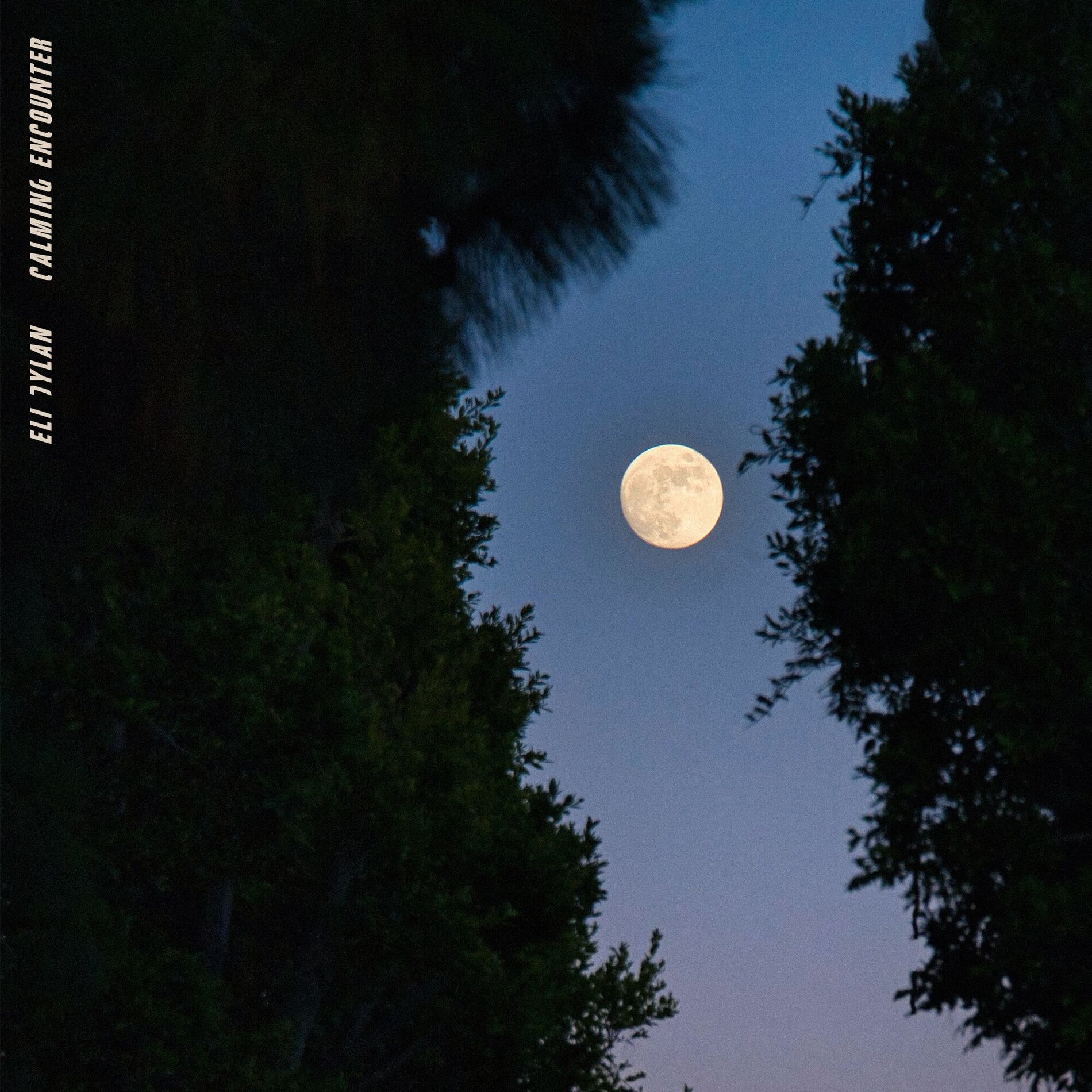 Album cover of Calming Encounter