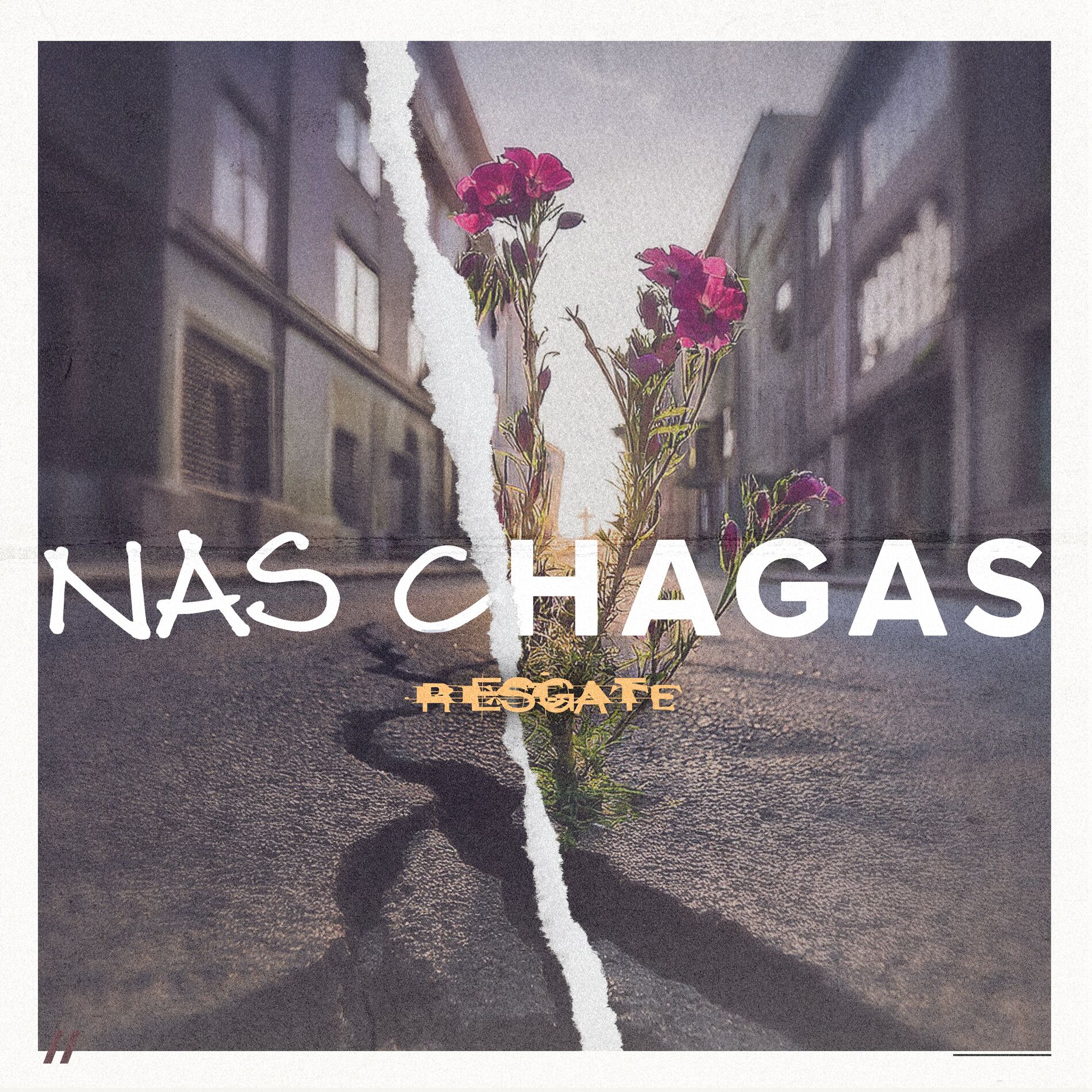 Album cover of Nas Chagas