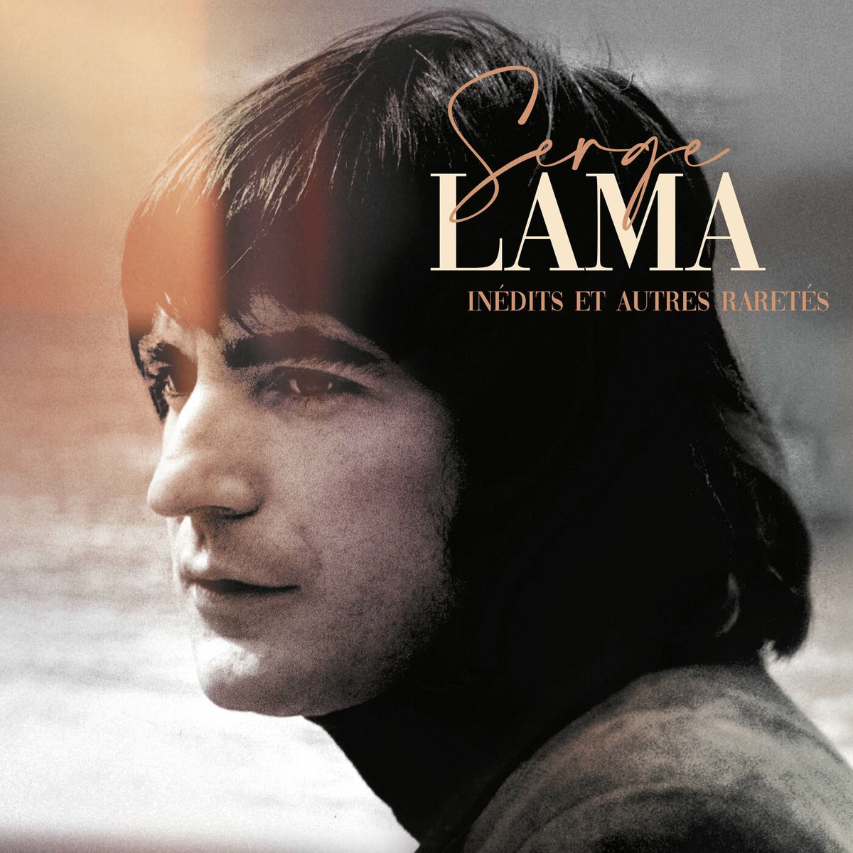 Album cover of L'Angleterre est une île
