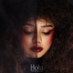 Cover of Holy Matrimony