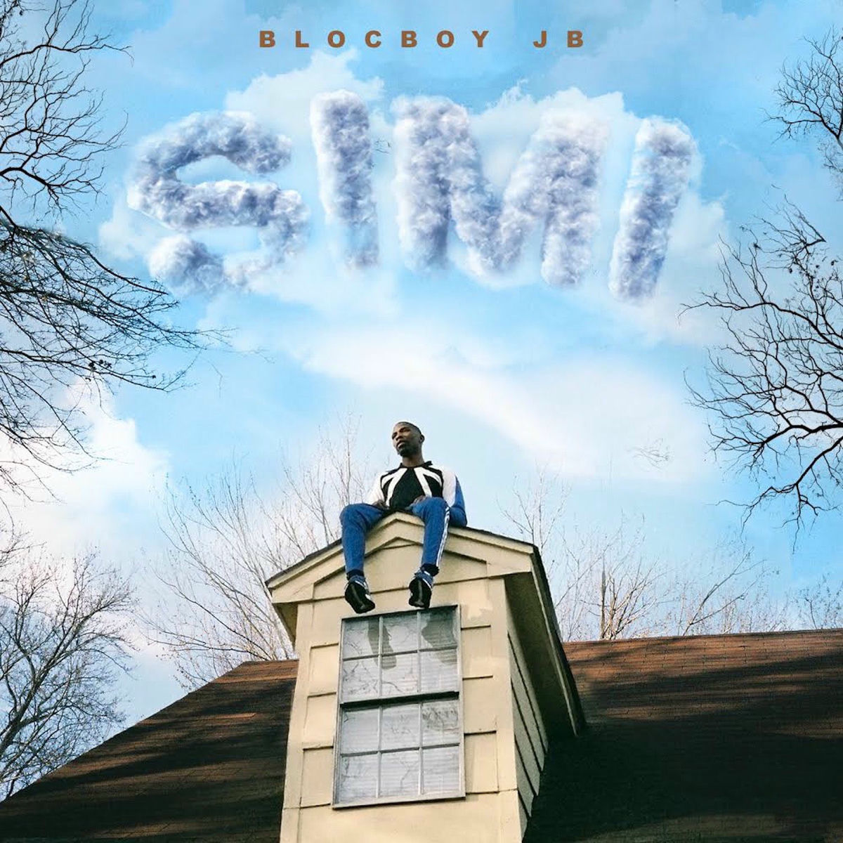 Album cover of Simi