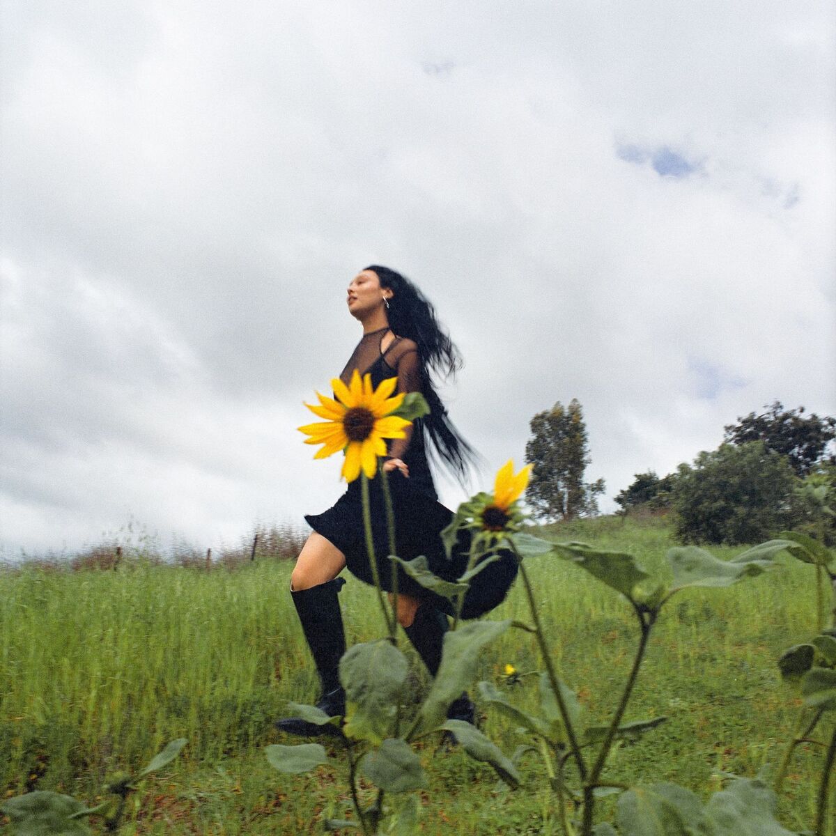 Album cover of Fantasy