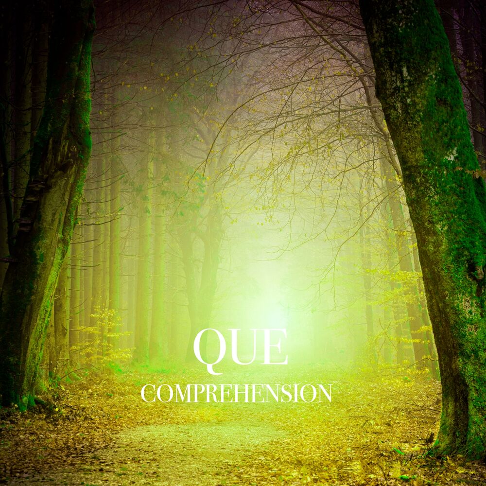 Picture of Comprehension