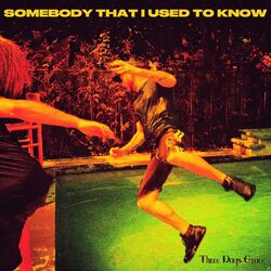 Cover of Somebody That I Used to Know