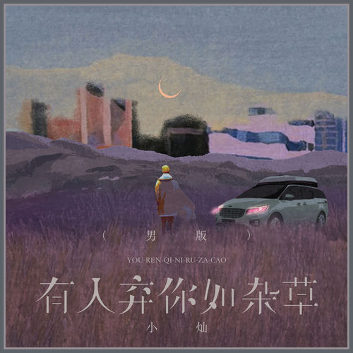 有人弃你如杂草