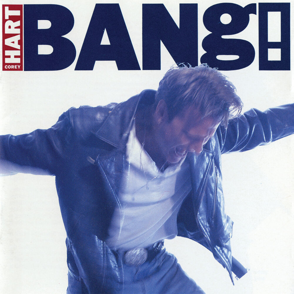 Picture of Bang!