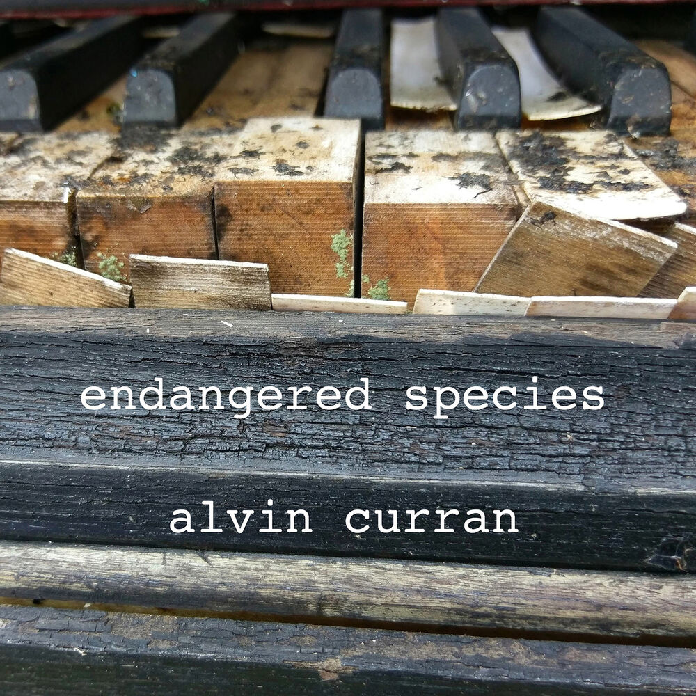 Picture of Alvin Curran: Endangered Species