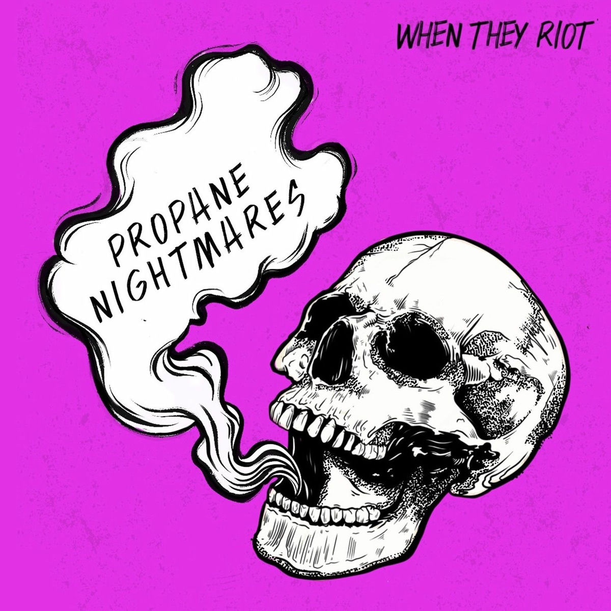 Album cover of Propane Nightmares