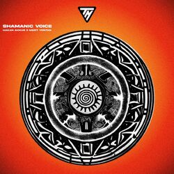 Cover of Shamanic Voice